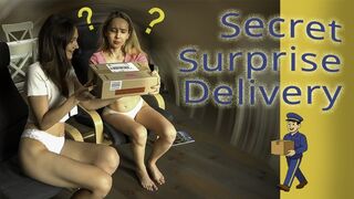 Secret Surprise Delivery