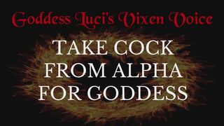 Take Alpha Cock For Goddess