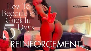 How To Become A Cuck In 5 Day's: Reinforcement
