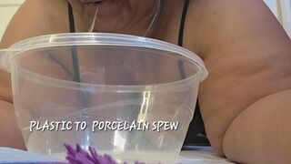 PLASTIC TO PORCELAIN SPEW