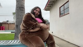 Too Fat To Walk