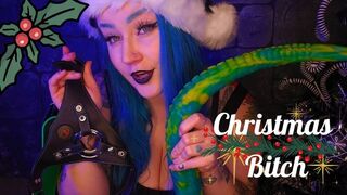 Christmas Bitch