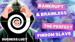 Bankrupt & Brainless: The Perfect Findom Slave Minduck Duchess Lucy Ruins You Audiogram