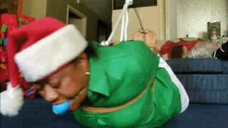Festive Bound