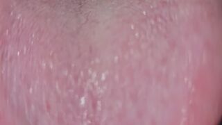 Vore - Let me gobble you up