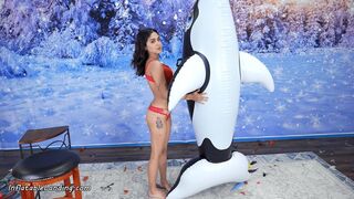Nova Inflates Orca Whale by Mouth HD (1920x1080)