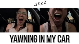 Yawning in the car until nightfall!
