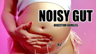 Noisy Gut WMV - Belly Gurgles, Digestion Squelching, and Bubbling Sounds