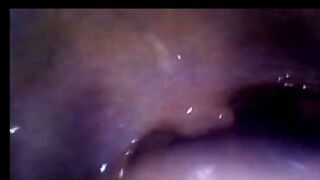 A 50-Minute Slow Motion Journey Through the Human Body 4K