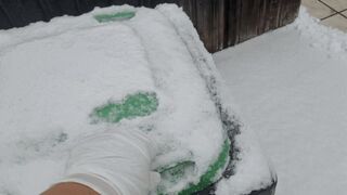 Fress aus meiner Biotonne