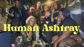 Public White Human Ashtray Bitch | Goddess Satin Group Domination Humiliation Smoking Fetish Spit Spitting Hot Dommes Female Domination Femdom Interracial Multiple London Slave Submissive Training