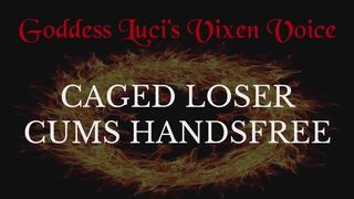 Caged Loser Cums Handsfree