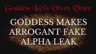Goddess Makes Fake Arrogant Alpha Leak