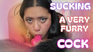 SUCKING A VER FURRY COCK