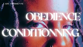 Obedience Conditionning