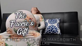 THE FAERIE'S GIFT
