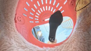 VR 360 cc high-heeled sandals crushed and humiliated the dwarves in the cage