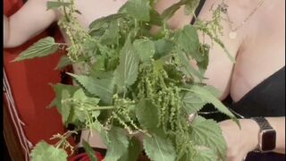 Stinging nettles