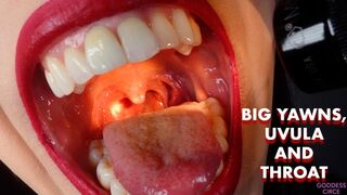 BIG YAWNS, UVULA AND THROAT (Video request)