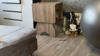 jump on gray ball new vid