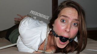 Cadence Lux - The Taking