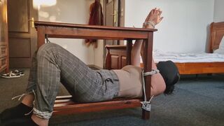 Mily tied to the stool