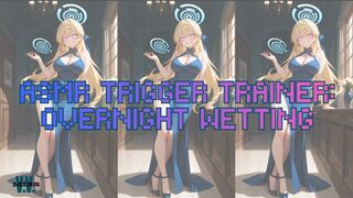 MP4 VERSION ASMR DIAPER TRIGGER TRAINER: WET OVERNIGHT
