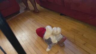 Pantyhose Stomping