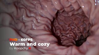 [FHD 60FPS] - Warm and cozy stomach - ENDOSCOPE VORE (CINEMATIC)