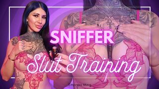 Sniffer Slut Training