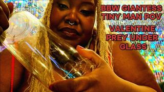 Ebony BBW Giantess Tiny Man POV Valentine Prey Under Glass