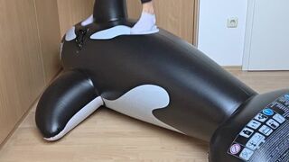 Riding & Stomping a Giant Inflatable Orca