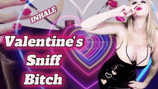 Valentine's Sniff Bitch