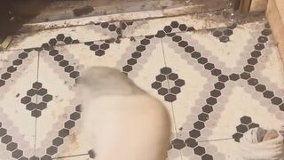 Master Valentine's Day Foot Worship MP4