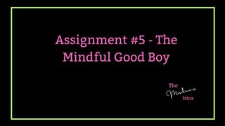 Assignment #5 - The Mindful Good Boy