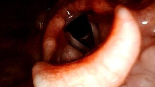 Welcome to your new home, a tour inside the body of a giant woman (Full stomach view)