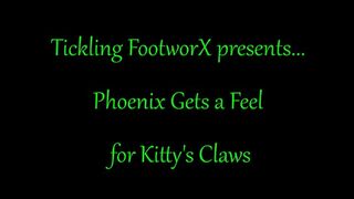 Phoenix Gets a Feel for Kitty's Claws