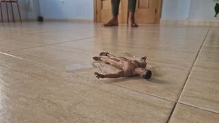 UNAWARE Boyfriend is fucked by my feet shrink fetish