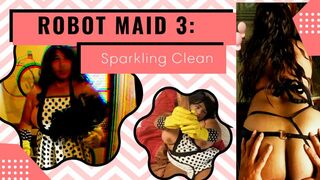 Robot Maid 3: Sparkling Clean