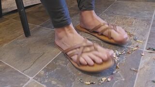 Sandals, tinies, stomps, and taps