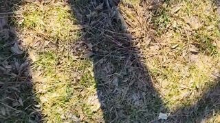 Tempest walking on a windy day