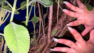 Claws That Like to Scratch