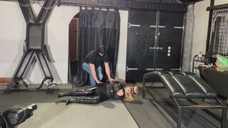 Victoria cat burglar Captured and taken prisoner
