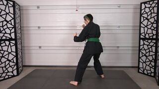 ZIVA'S KICKING PRACTICE