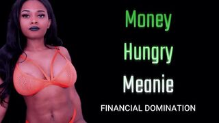 Money Hungry Meanie