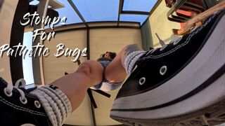 Stomps For Pathetic Bugs (wmv)