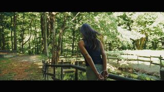 Prisoner Lo Bianco escape in Woods in cuffs - part 2