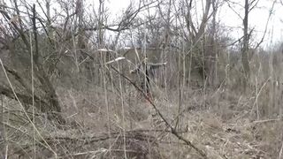 lose a boot in the forest m