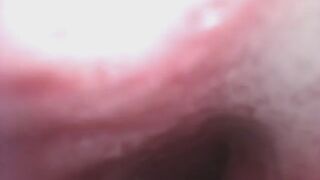 Return To Baileys Stomach