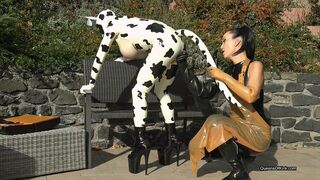 Latex Cow Inspected And Fucked Stage 1 (WMV)